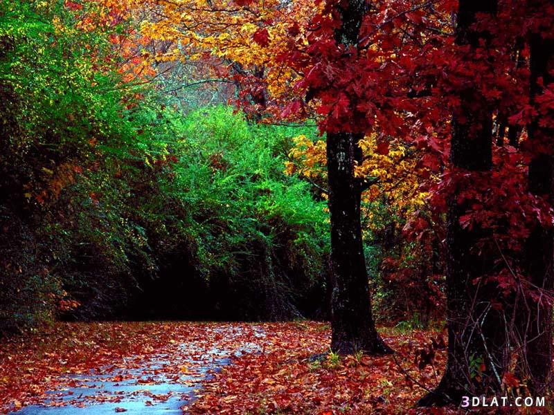 صور طبيعيه