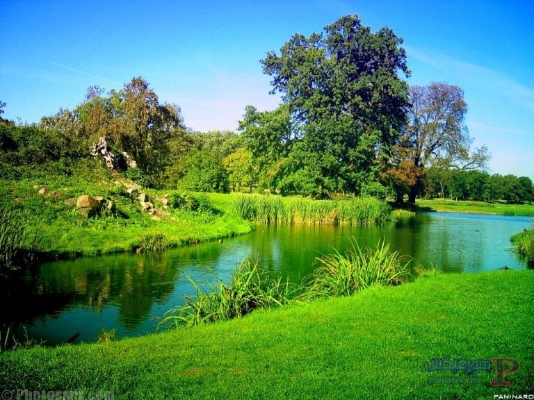 صور طبيعيه