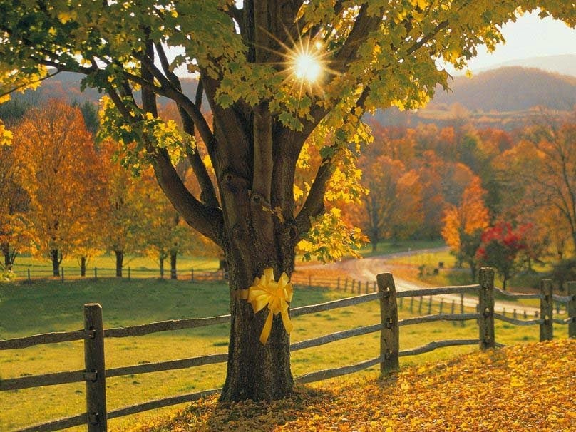 صور طبيعيه