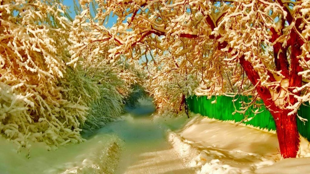 صور طبيعيه