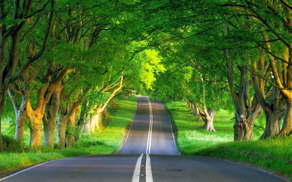 صور طبيعيه
