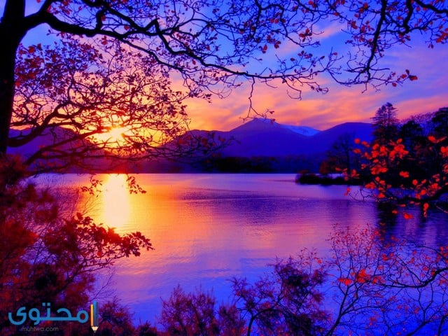 صور طبيعيه