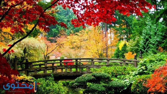 صور طبيعيه