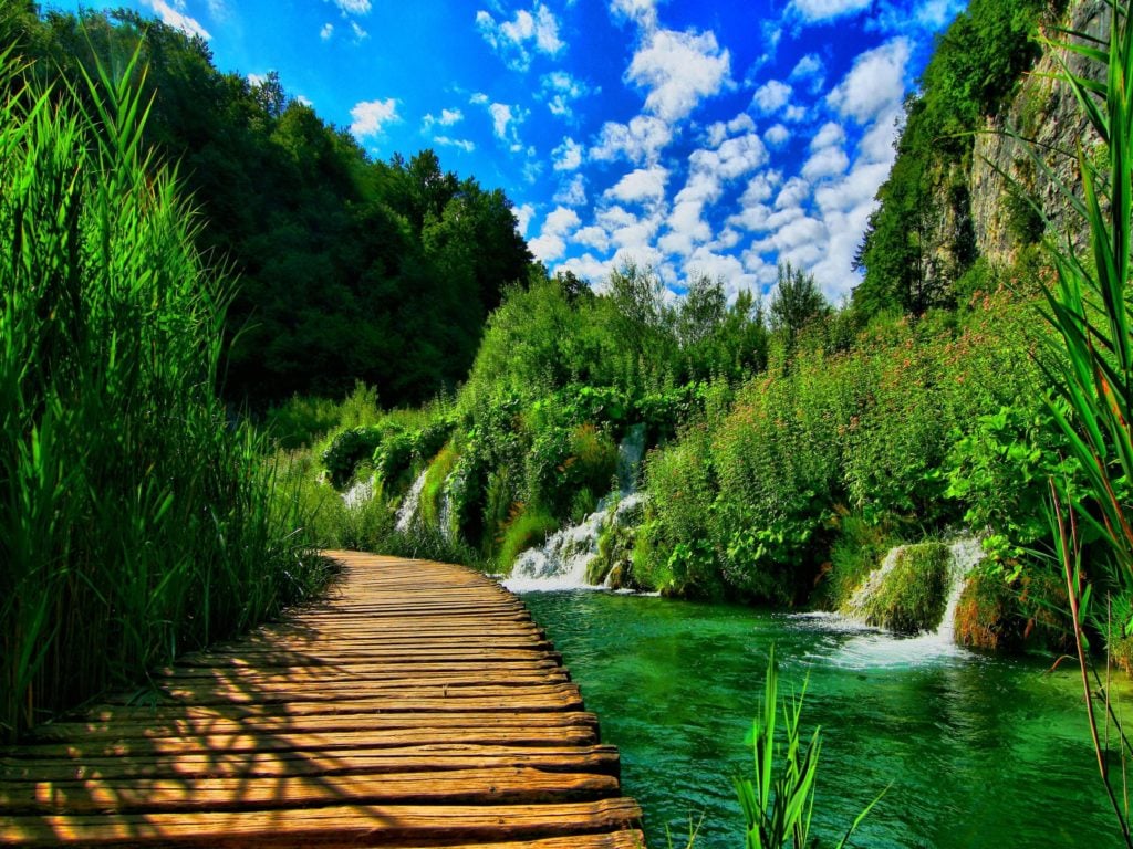 صور طبيعيه