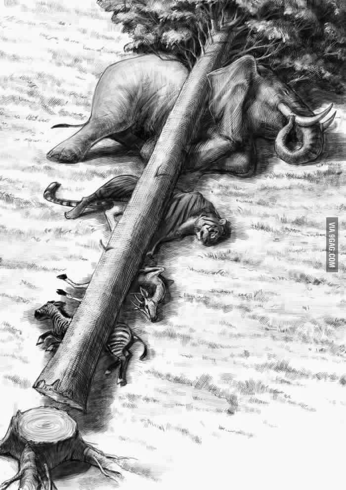 صور عميقة