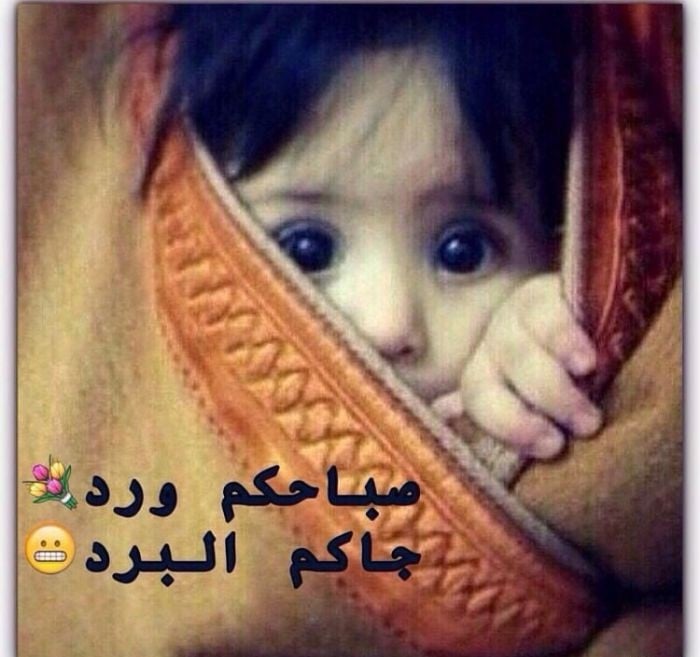 صور عن البرد