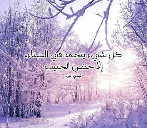 صور عن البرد