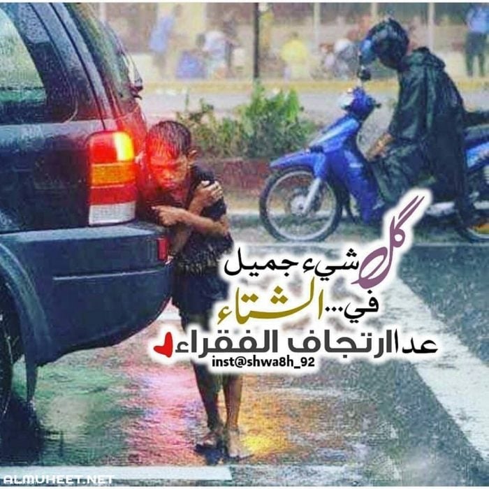 صور عن البرد