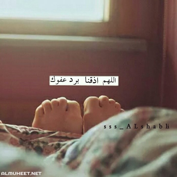 صور عن البرد