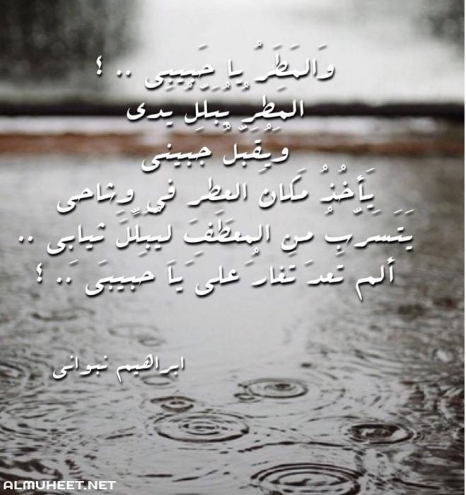 صور عن البرد