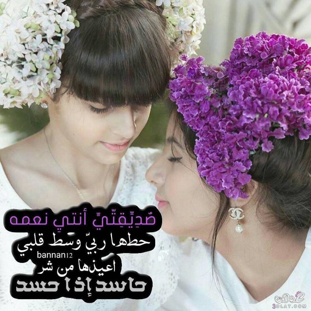 صور عن الصديقات