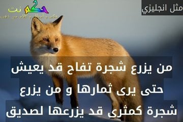 صور عن الصديقات