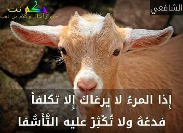 صور عن الصديقات