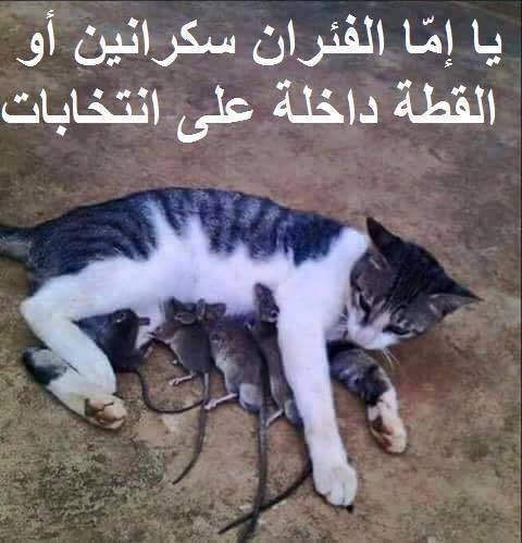 صور مضحكة جدا