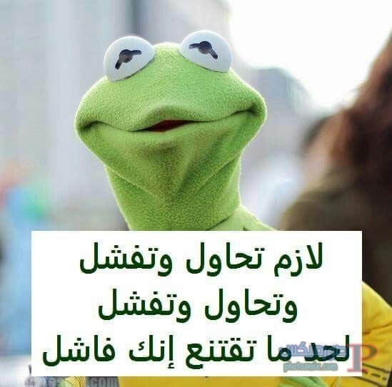 صور مضحكة جدا