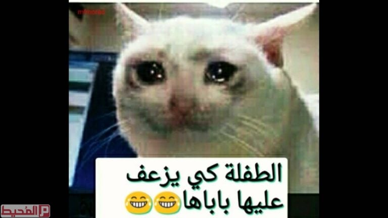 صور مضحكة جدا