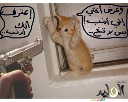صور مضحكة جدا