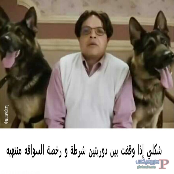 صور مضحكة جدا