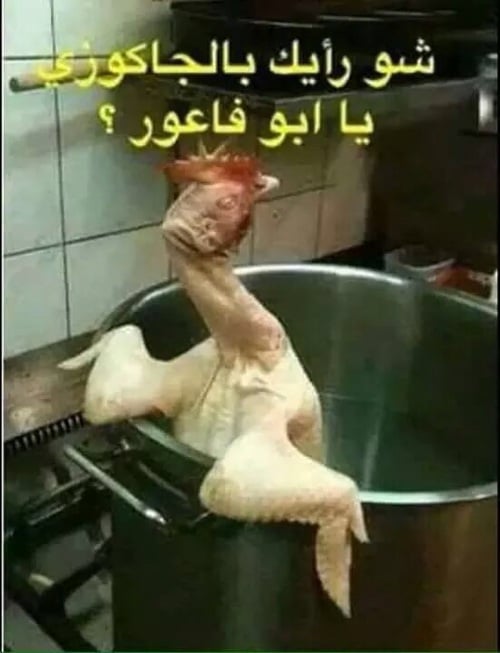 صور مضحكة جدا