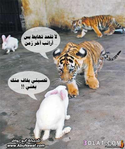 صور مضحكة جدا