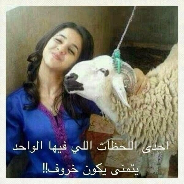 صور مضحكة
