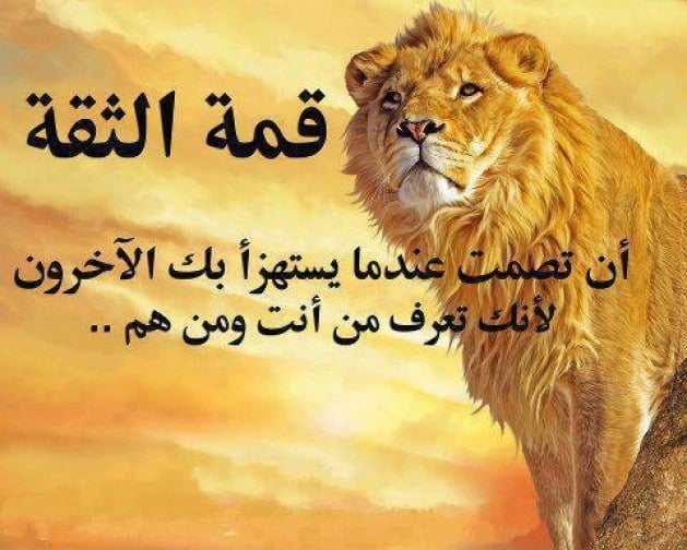 عبارات الثقة بالنفس