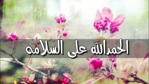 عبارات الحمدلله على السلامة