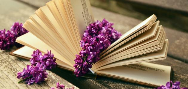 عبارات تكتب على البوم الصور