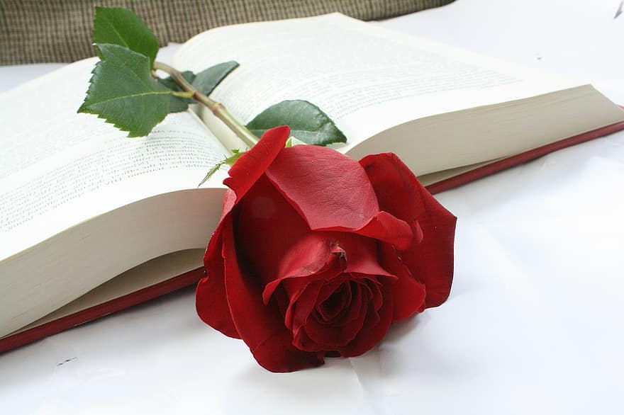 عبارات تكتب على البوم الصور