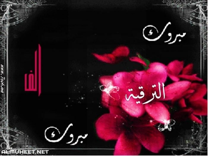 عبارات تهنئة بالترقية العسكرية