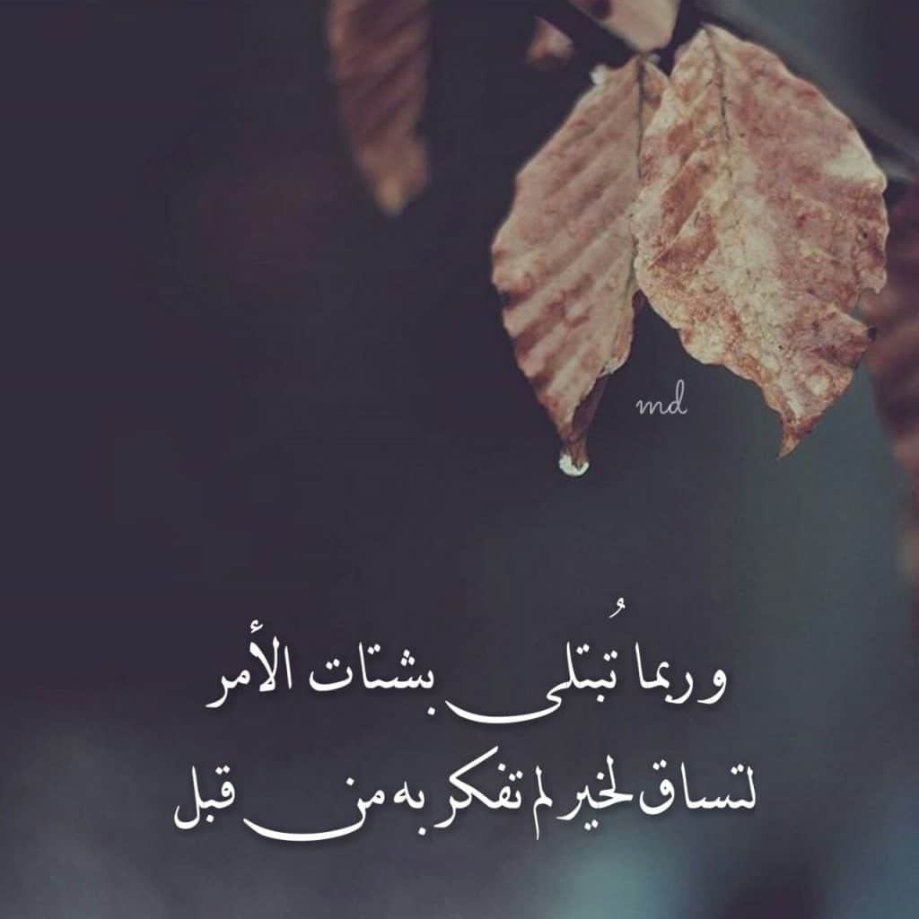 عبارات ضيقه