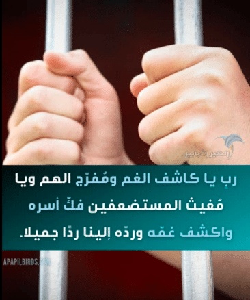 عبارات عن اخي المسجون