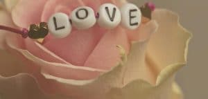 عبارات عن الشخص المفضل