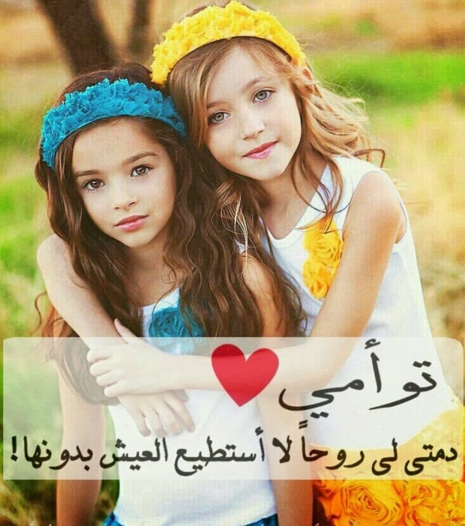 عبارات عن الصداقة تويتر
