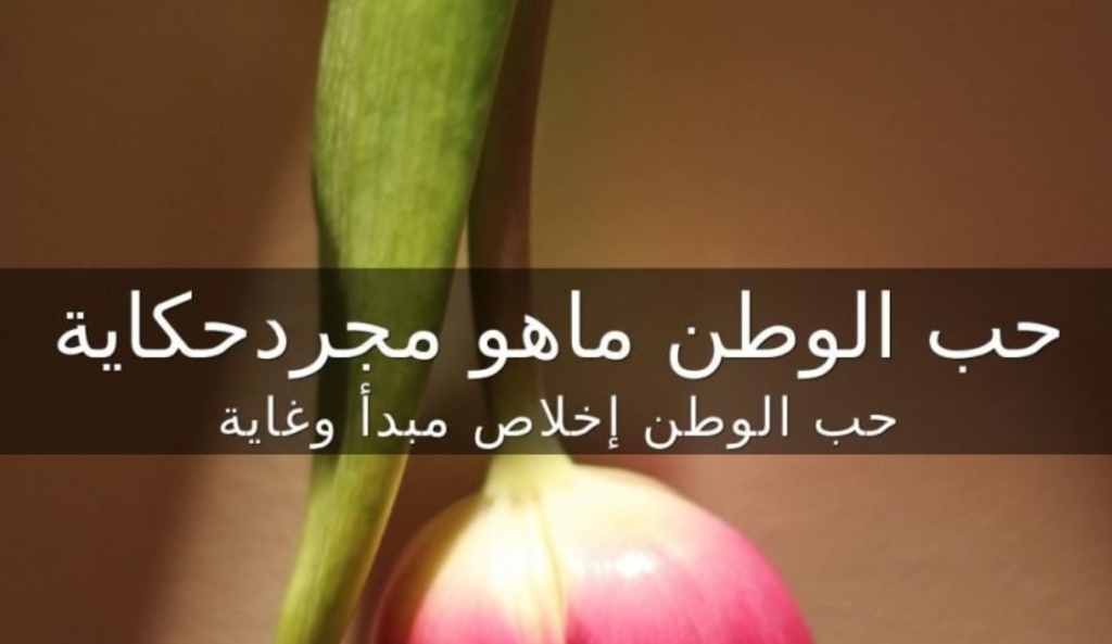 عبارات عن الوطن الغالي