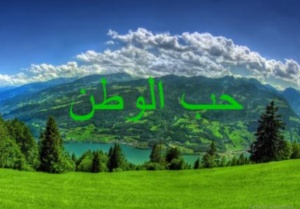 عبارات عن الوطن الغالي