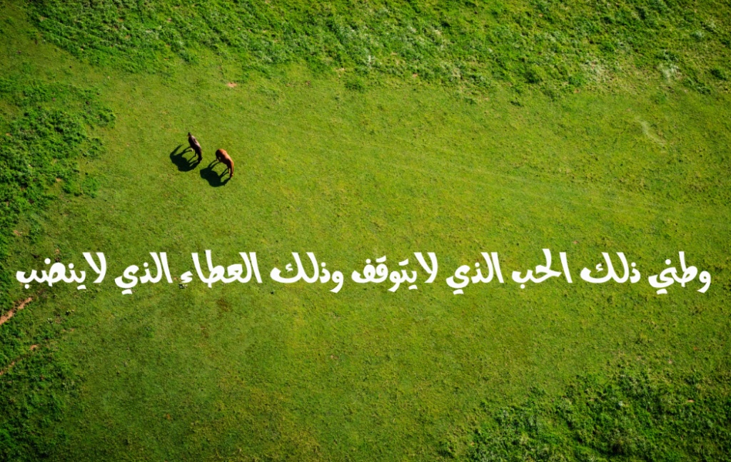 عبارات عن الوطن الغالي