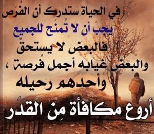 عبارات عن تجارب الحياة