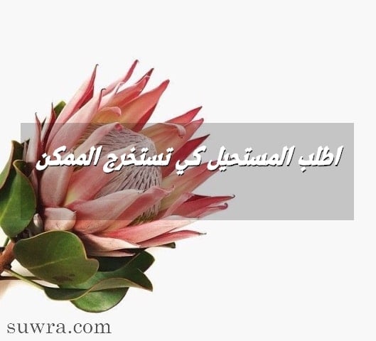 عبارات عن تحقيق المستحيل