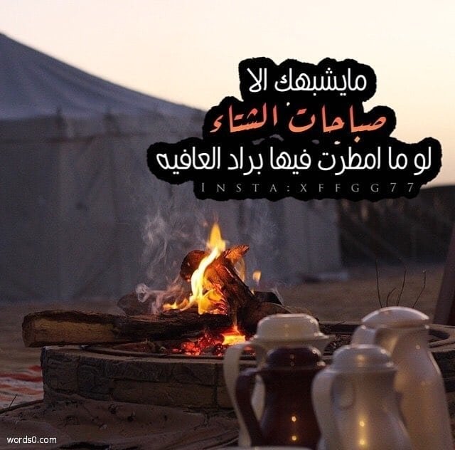 عبارات عن شتاء