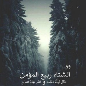 عبارات عن شتاء