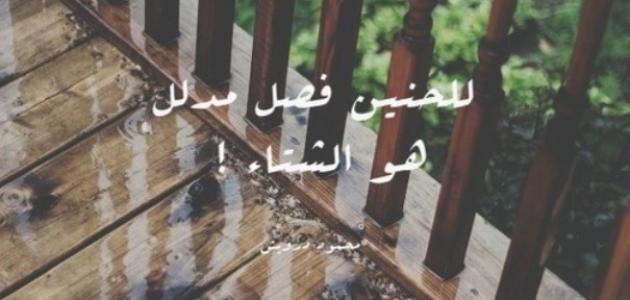 عبارات عن شتاء