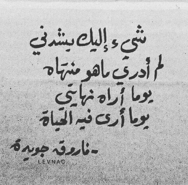 عبارات عن طريق الحياة