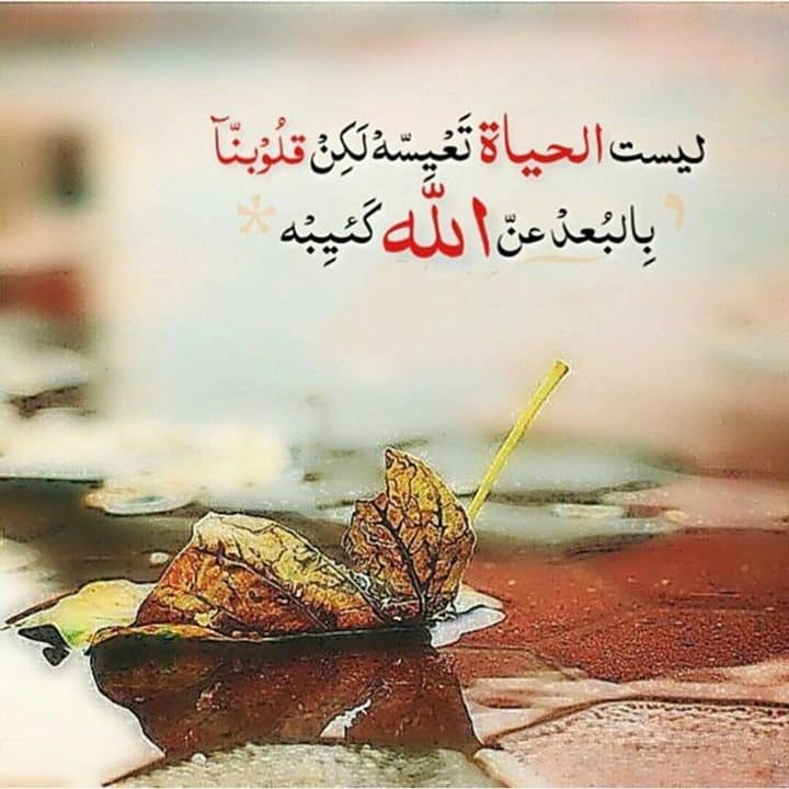 عبارات عن طريق الحياة
