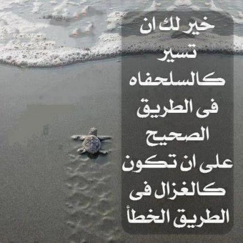 عبارات عن طريق الحياة