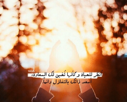 عبارات عن طريق الحياة