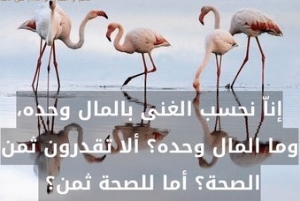 عبارات عن كلاب المال