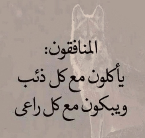 عبارات عن ناس حقيرة