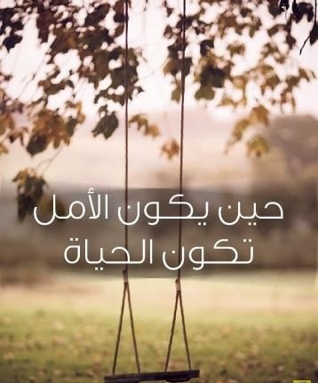 عبارات عن واقع الحياة