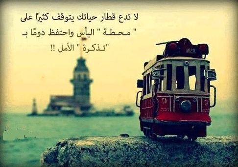 عبارات عن واقع الحياة